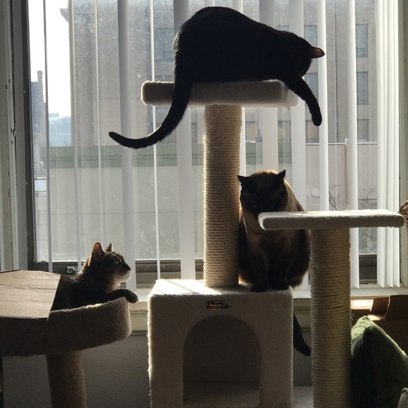 Meet your Posher, Scott - Picture 4 of 4